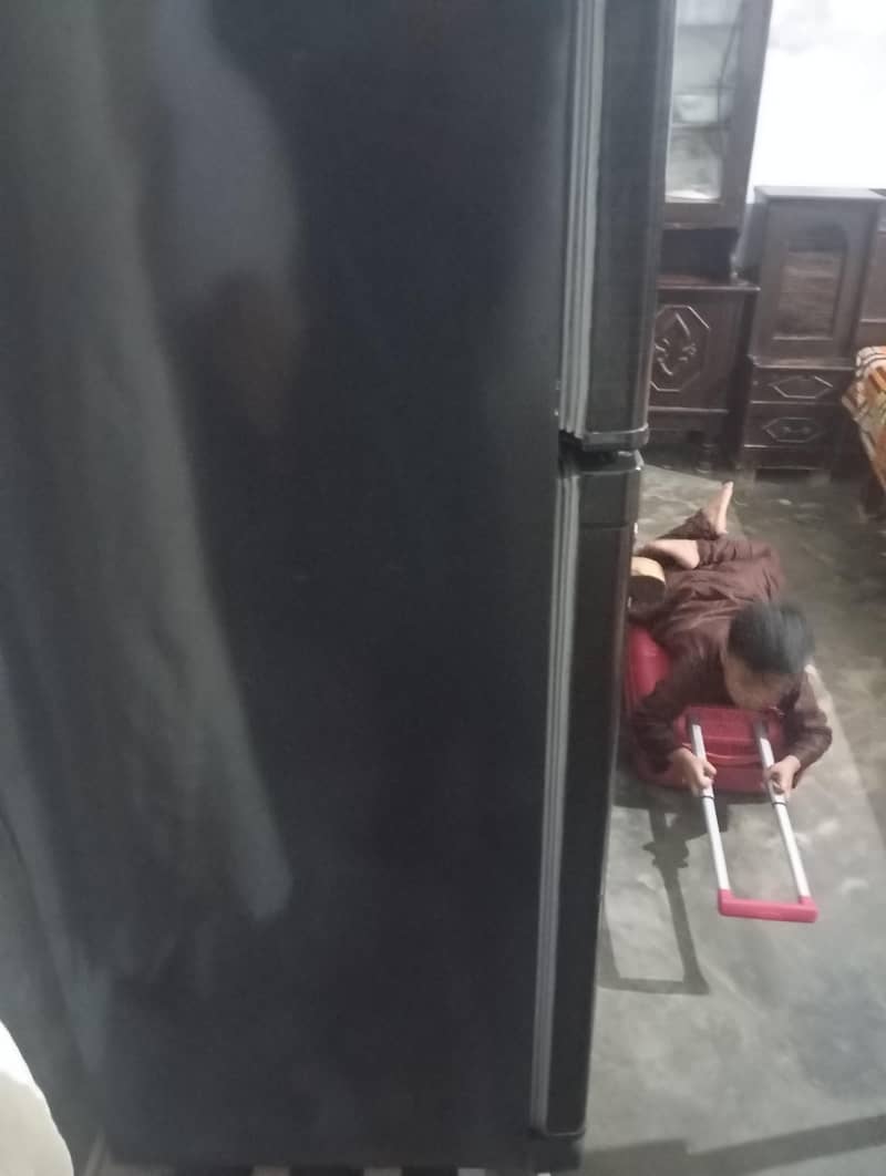 fridge 2