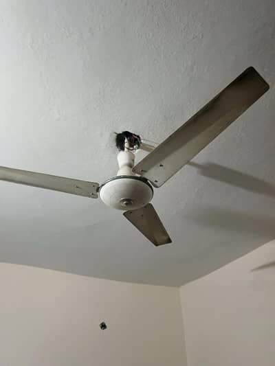 4 adad ceiling fans for sale pure copper winding