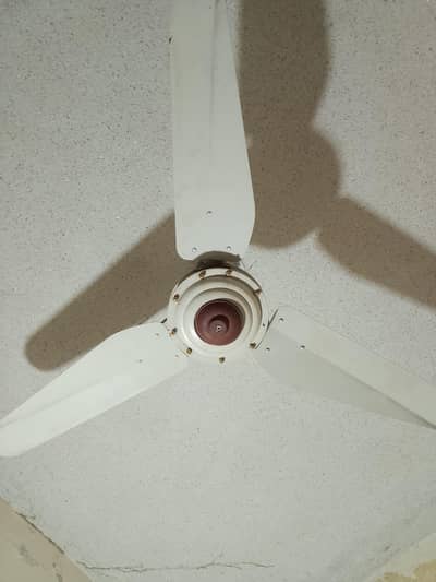 fan for sale