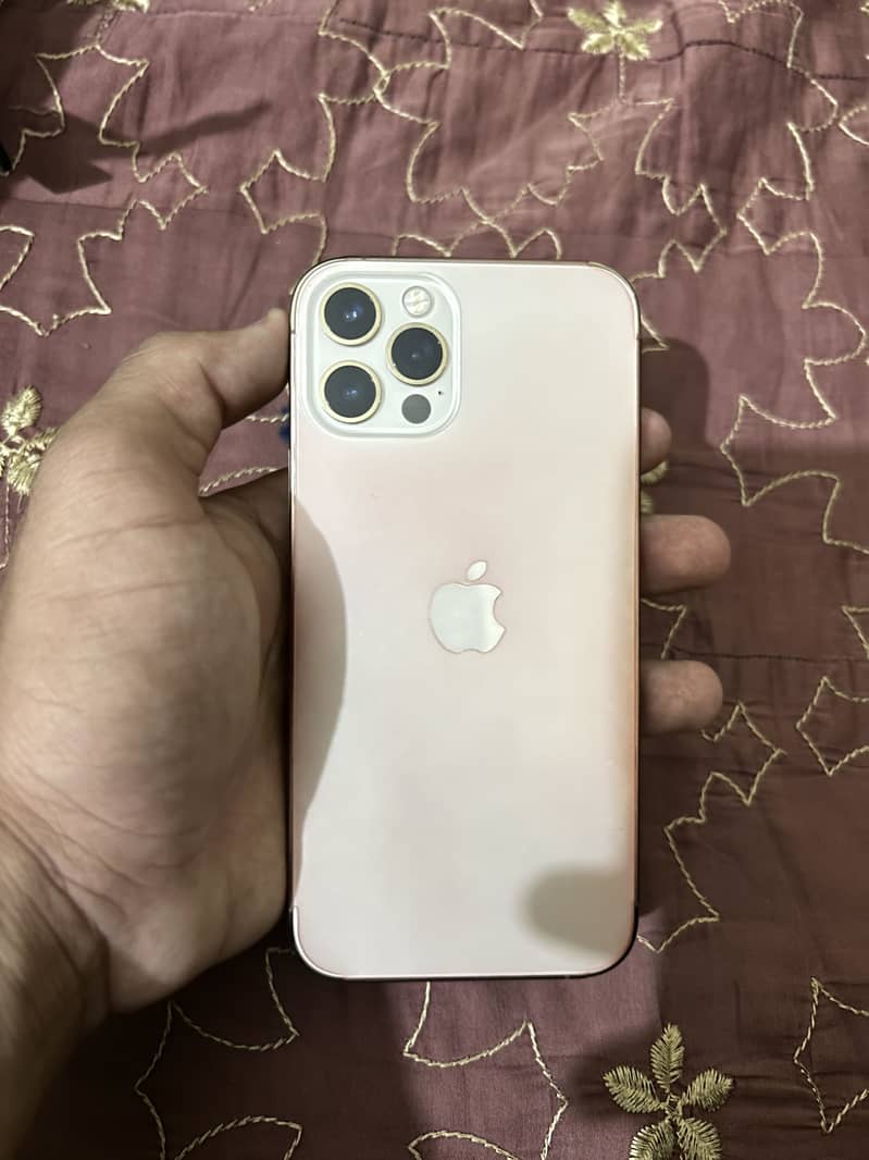 12 pro 1
