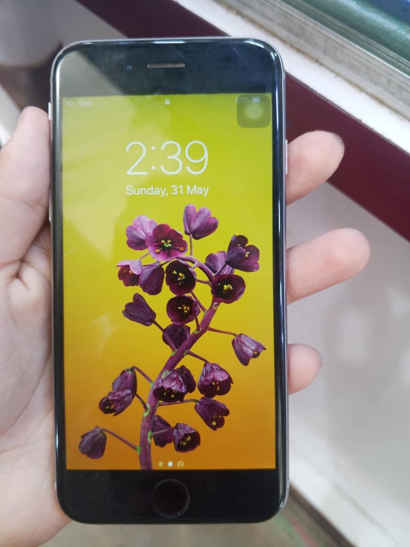 Apple iPhone 6 5