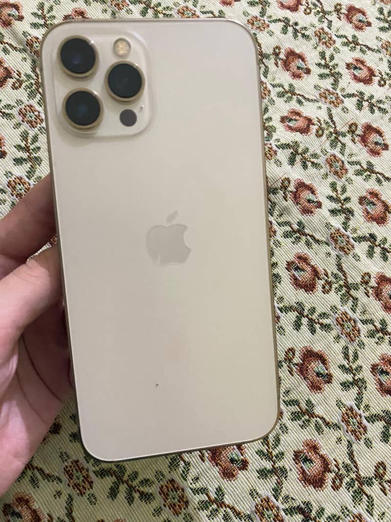 Apple iPhone 12 Pro Max 0