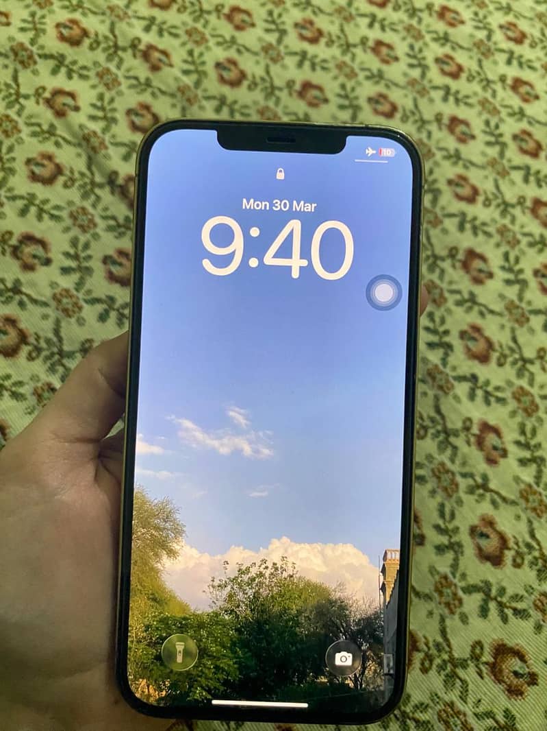 Apple iPhone 12 Pro Max 1