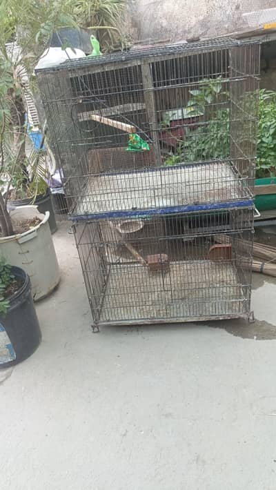 Cages