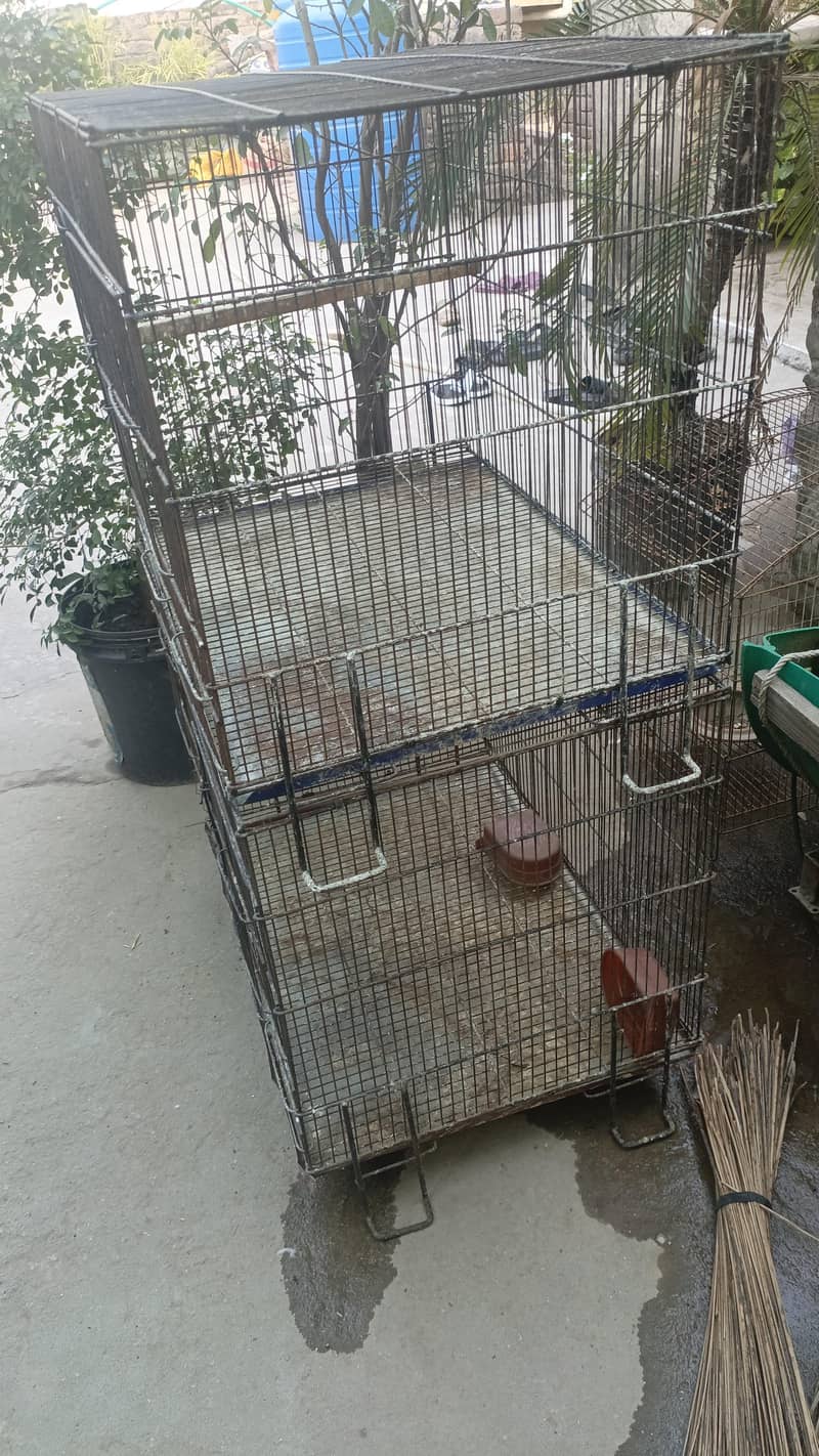 Cages 1