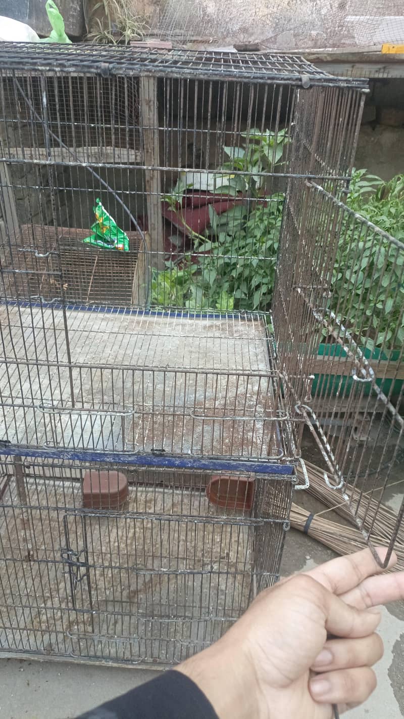Cages 2