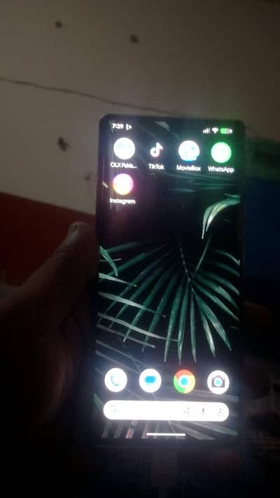 google pixel 6 pro