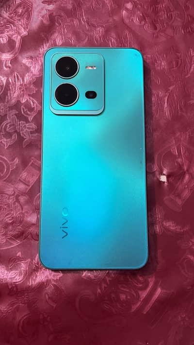 Vivo V25
