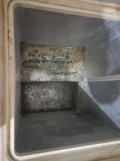 Waves Freezer Double Door