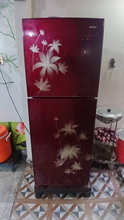 Orient Medium Sized (Excellent Condition)