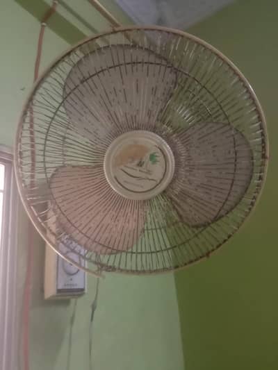 pak fan wall