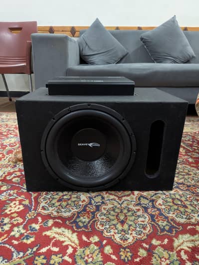 Woofer (12 inch) SAEVEY AUDIOS