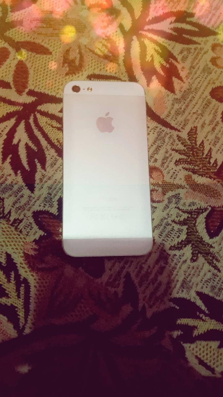Apple iPhone 5 0