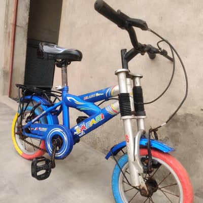 Milano bike cycle