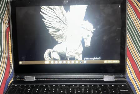 Lenovo 300e 2 gen