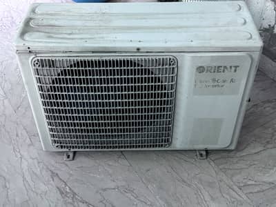 Orient 1.5 ton gold fin