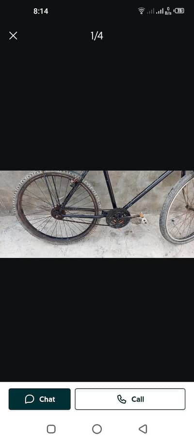 phoenix cycle