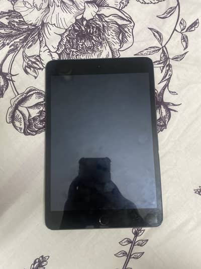 Ipad mini 5