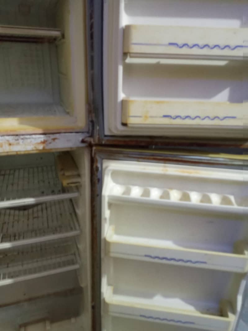 Fridge 1