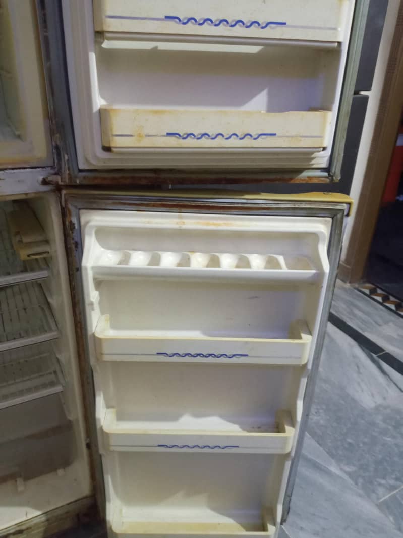 Fridge 5