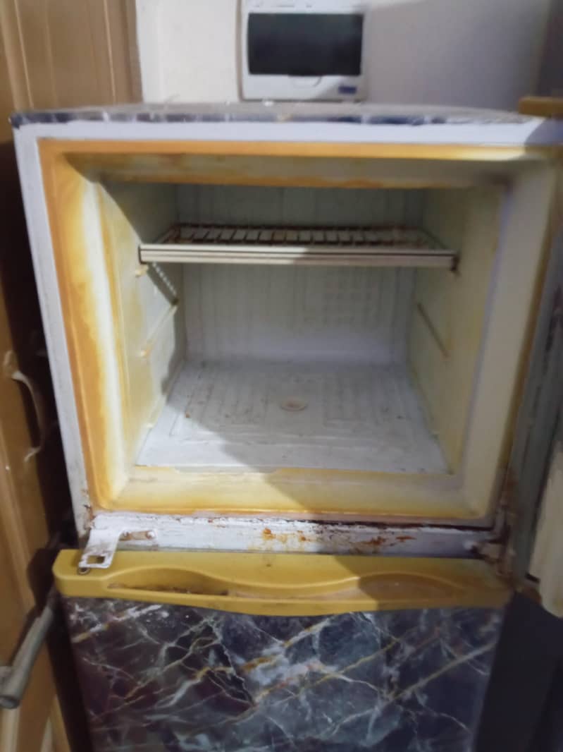 Fridge 6
