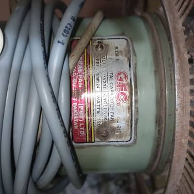 Pedistal Fan for sale