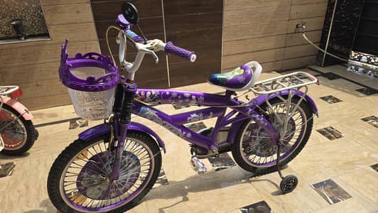 Imported frozen girls sports bicyle