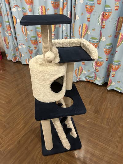 Cat Scratcher