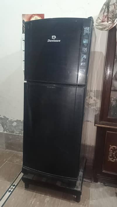 Large size fridge