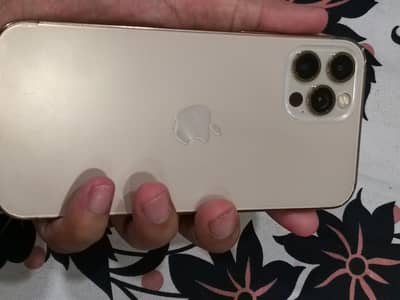 Apple iPhone 12 Pro