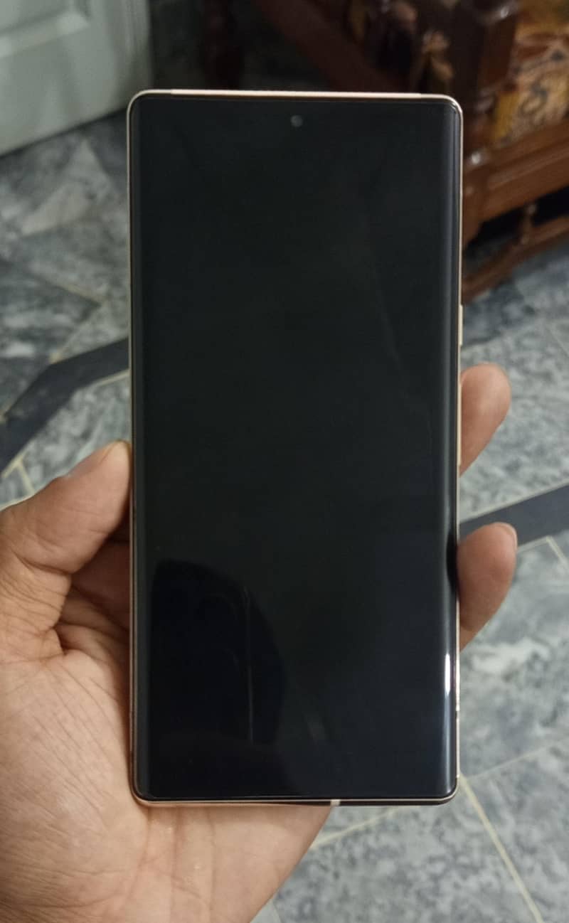 Google Pixel 6 Pro 1