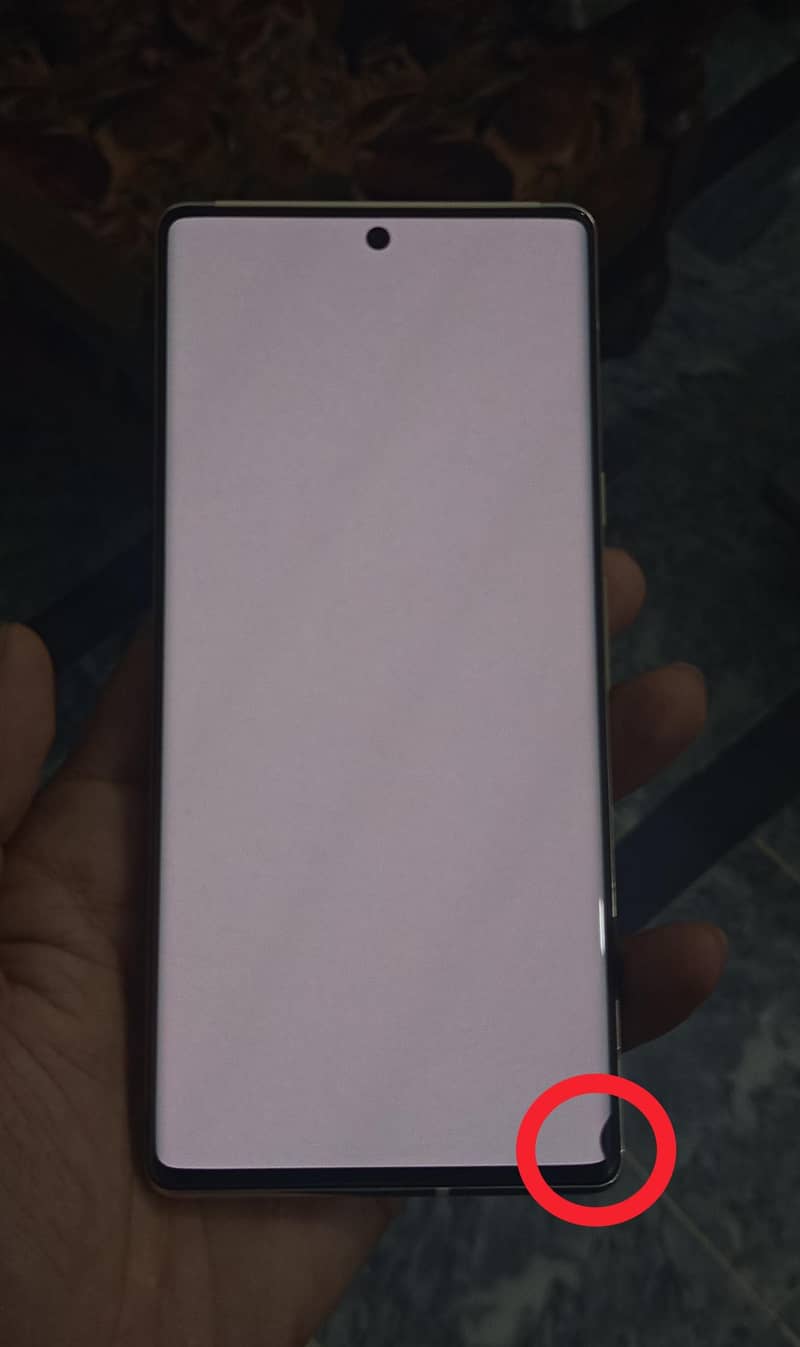 Google Pixel 6 Pro 3