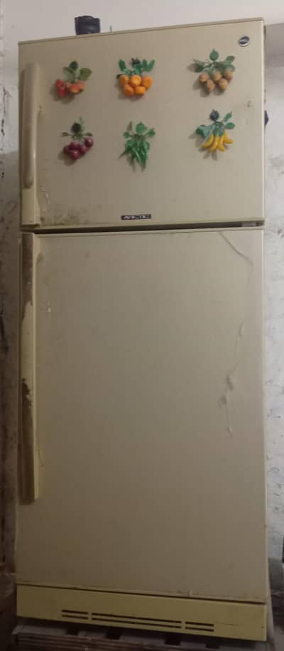 pel refrigerator full size 10/10 condition no repair