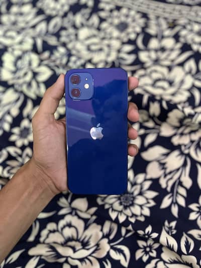 Apple iPhone 12