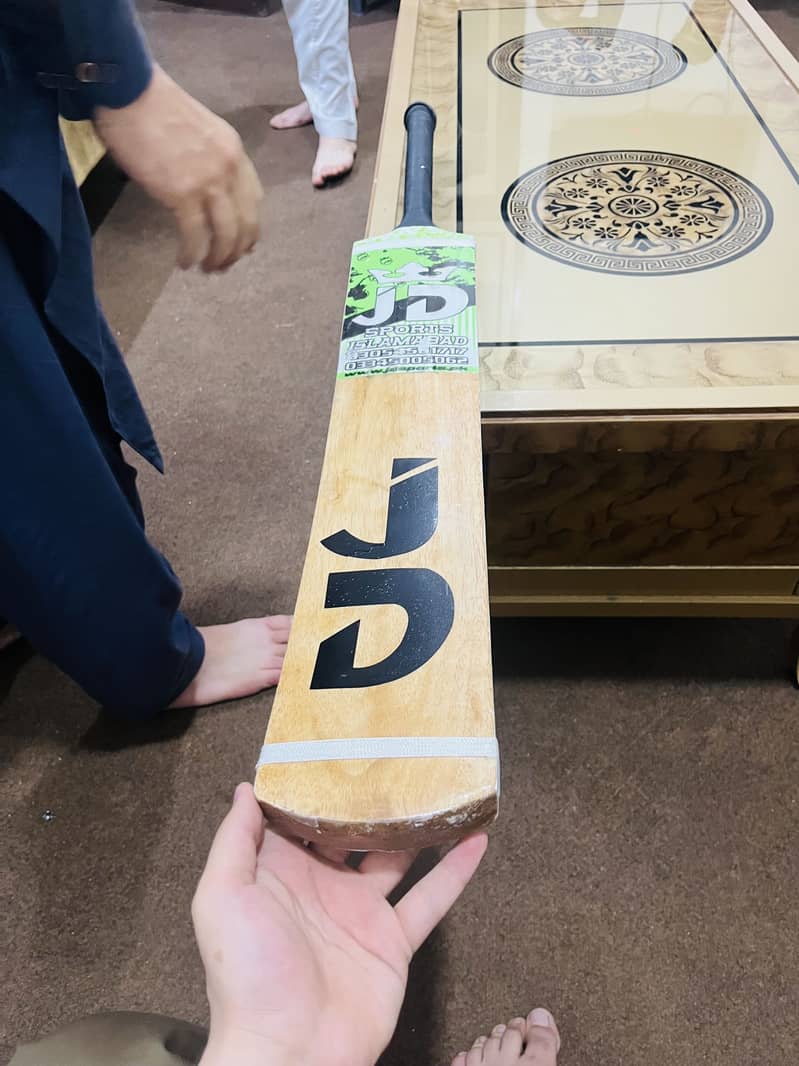 Cricket bat 2