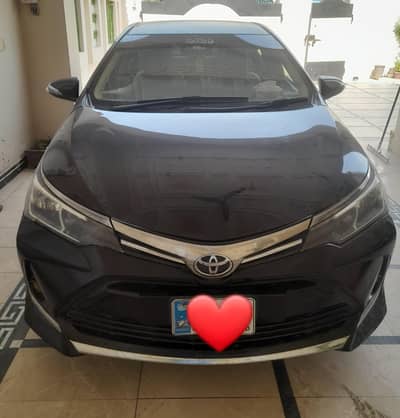 gli auto 2019