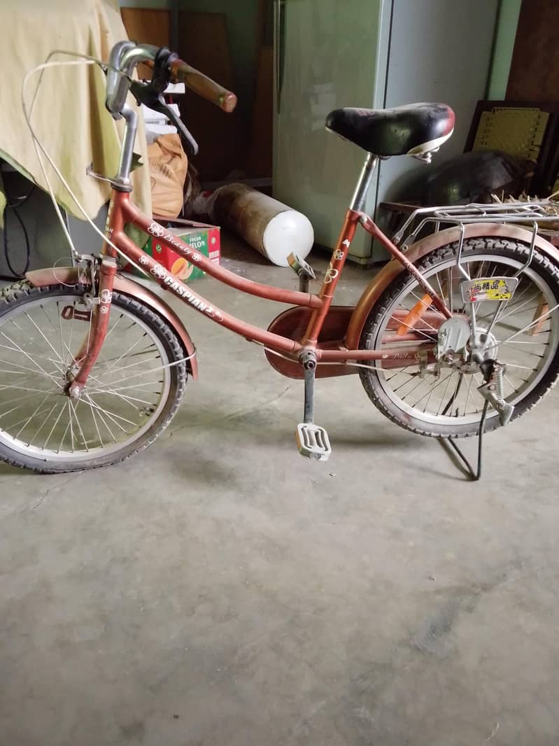 cycle 10/10 0