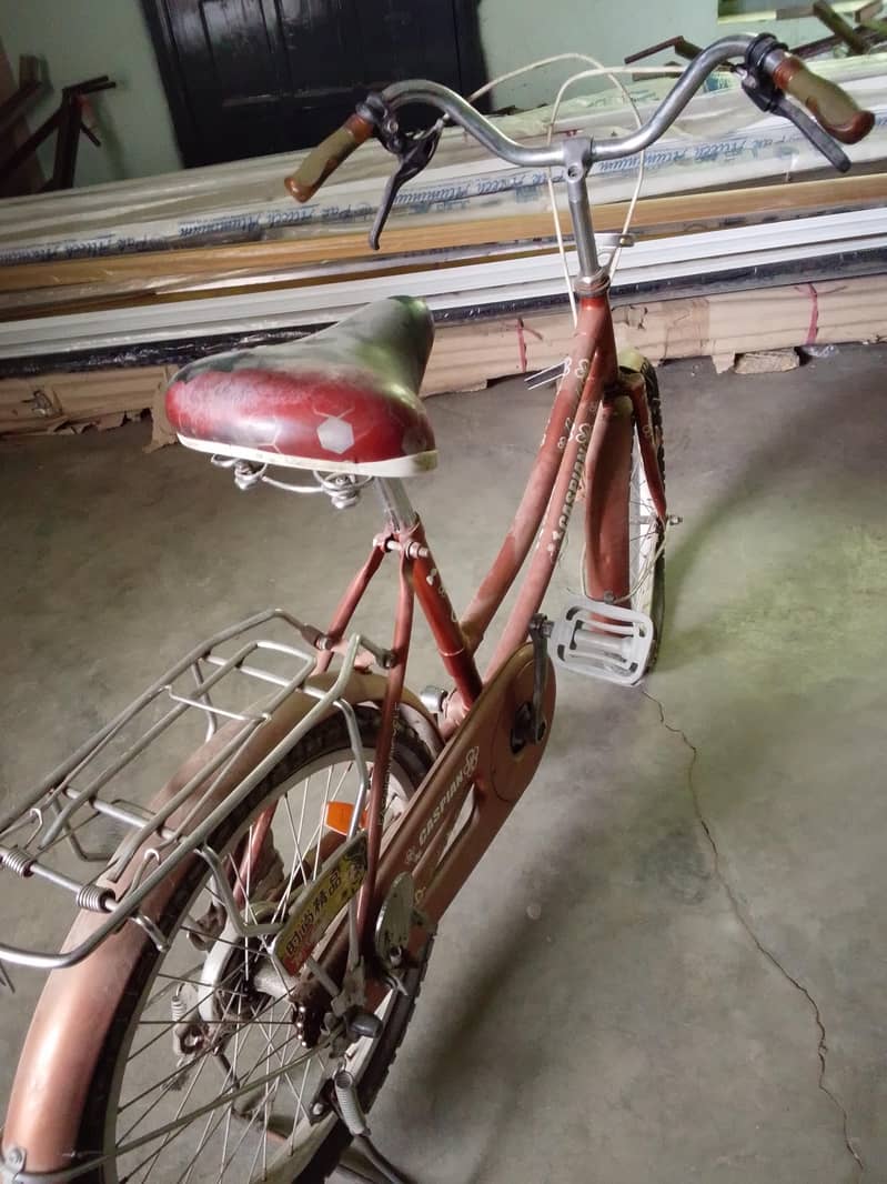cycle 10/10 1