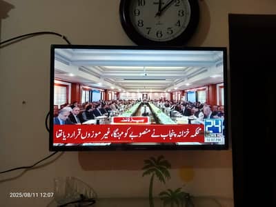 Smart Android LED TV Ecostar 32"