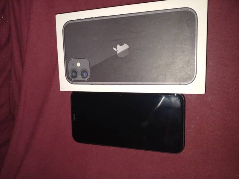 Apple iPhone 11 1