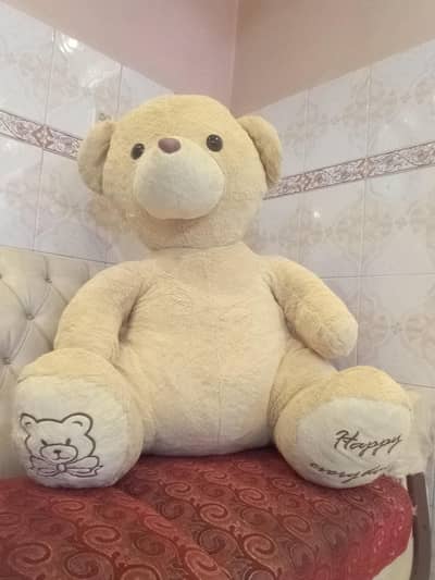 biggest and healthy Teddy Bear very soft
