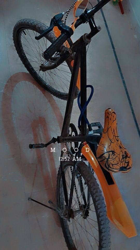 Cycle 2