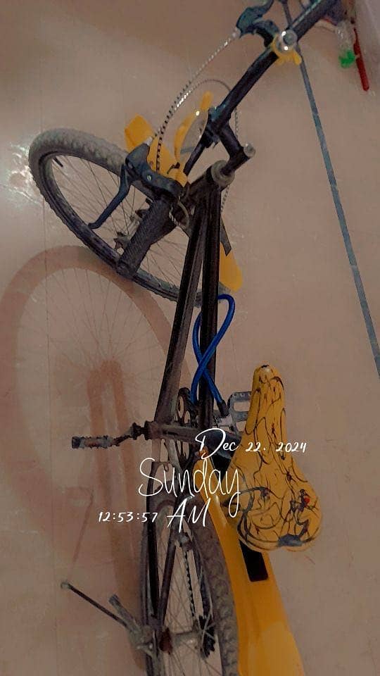 Cycle 4