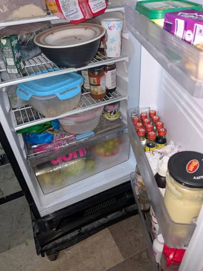 Kenwood person plus series fridge for sale in good condition