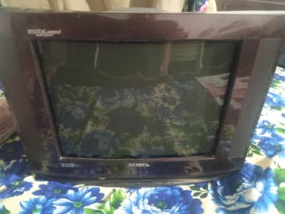 ek  adar TV aur ek  DVD
