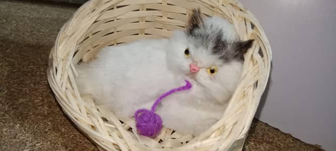 Cute Decorative cat toys  meow sound wali basket ka sath
