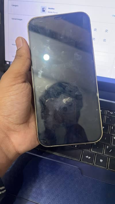 Apple iPhone 12 Pro Max