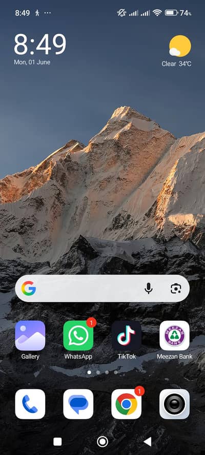 Vivo Y31d