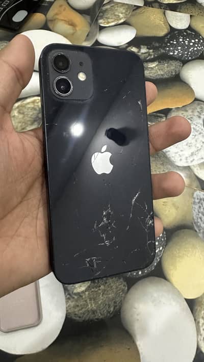 Apple iPhone 12