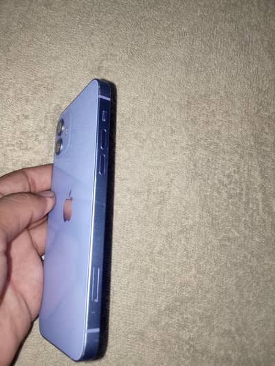 Apple iPhone 12